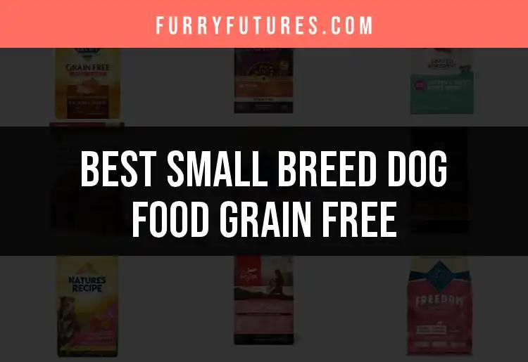 11 Best Grain-Free Dog Foods for Small Breeds