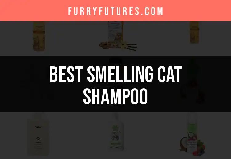 18 Best Smelling Cat Shampoos to Keep Your Feline Fresh