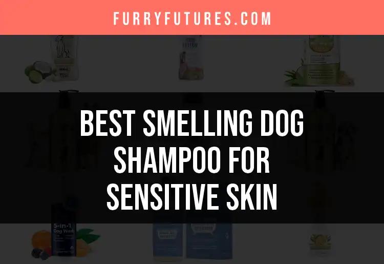 20 Best Smelling Dog Shampoos for Sensitive Skin
