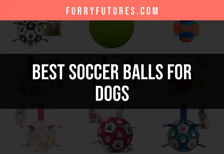 15 Best Soccer Balls for Dogs: Playtime Perfection