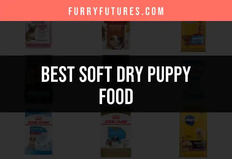 17 Soft Dry Puppy Foods That Your Pup Will Love