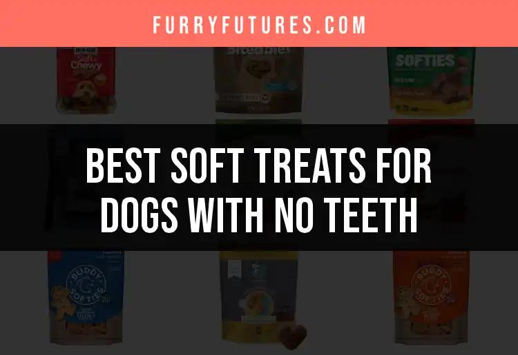 14 Best Soft Treats for Dogs Without Teeth