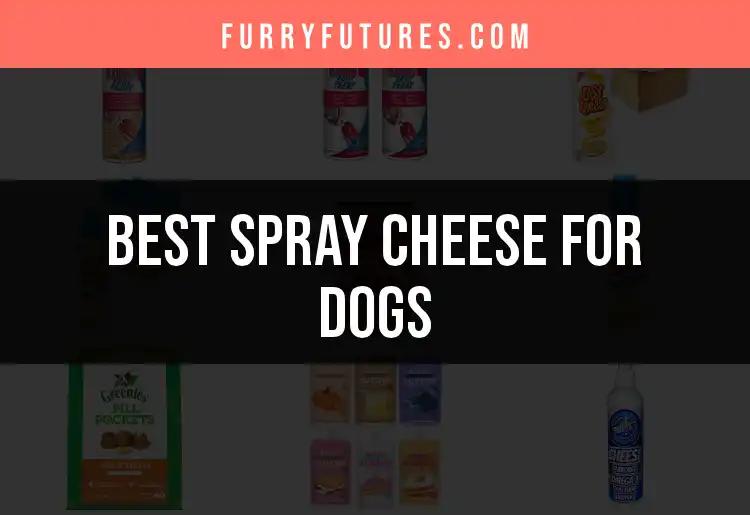 17 Tasty Spray Cheeses For Dogs To Savor