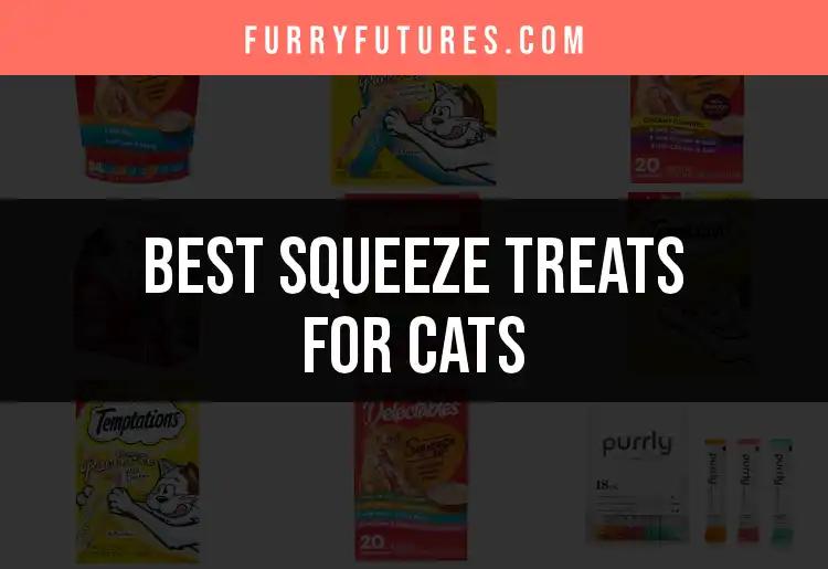 12 Irresistible Squeeze Treats for Cats to Delight Your Feline