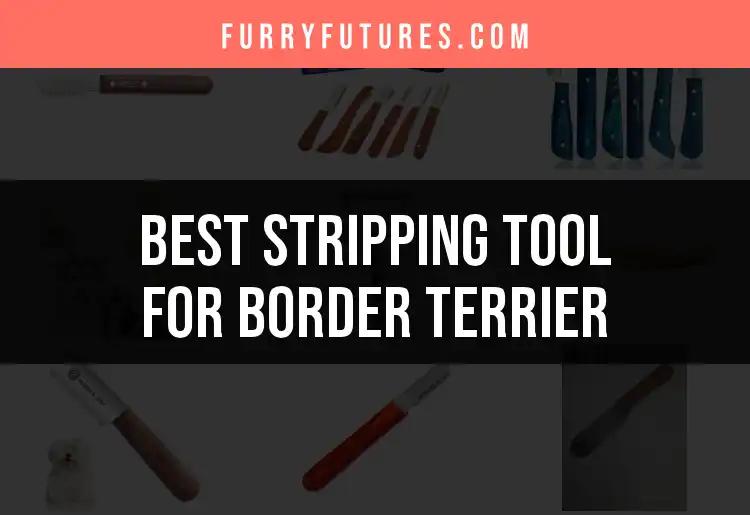 Top 10 Stripping Tools for Your Border Terrier