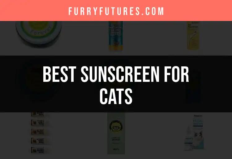 16 Best Sunscreens for Cats to Keep Them Safe in the Sun