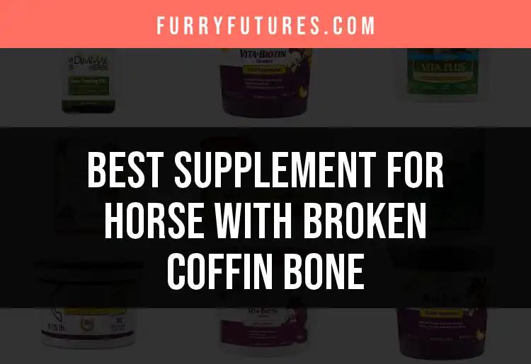 15 Best Supplements for Horses with Broken Coffin Bones