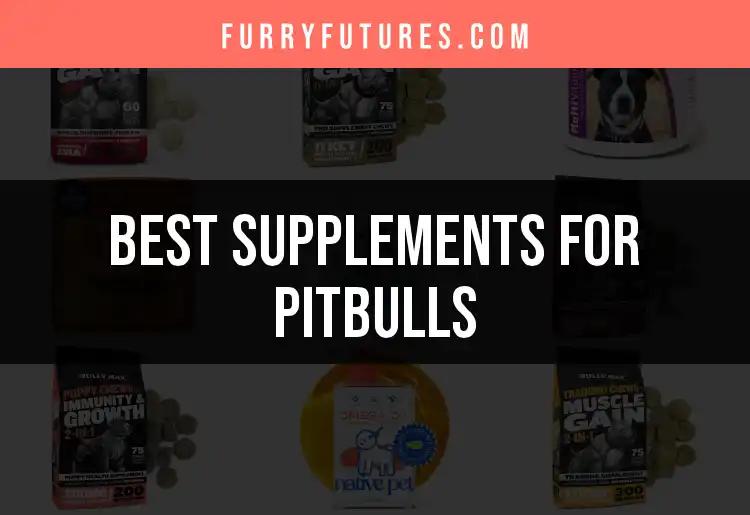 18 Essential Supplements for Pitbulls Unleashed