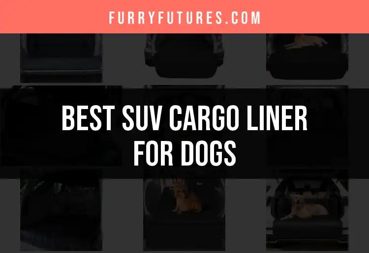 11 Best SUV Cargo Liners for Dogs You Need to Consider