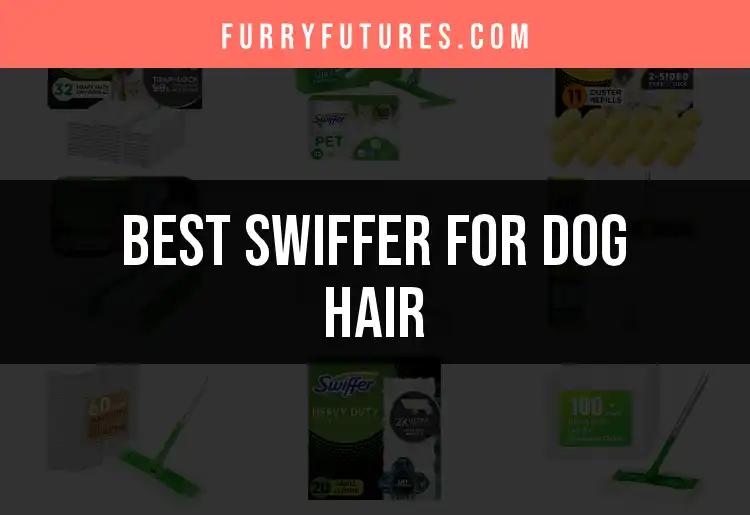 13 Best Swiffers For Dog Hair: Quick Cleaning Solutions