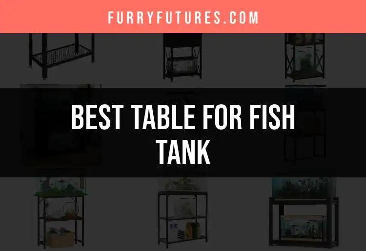 11 Must-Have Tables for Your Fish Tank Setup