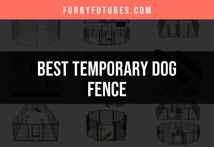 13 Top Temporary Dog Fences for Safe Play Areas