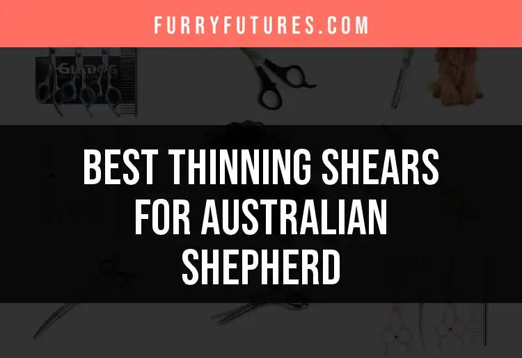 14 Top Thinning Shears for Australian Shepherds Unveiled