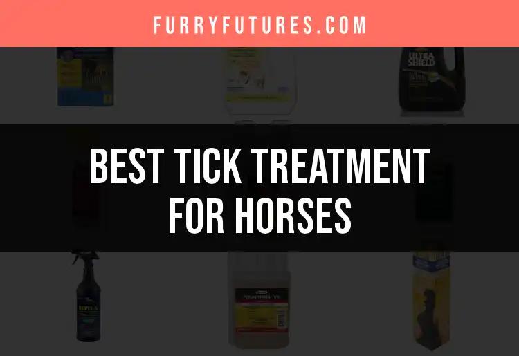 14 Top Tick Treatments for Horses You Need to Know