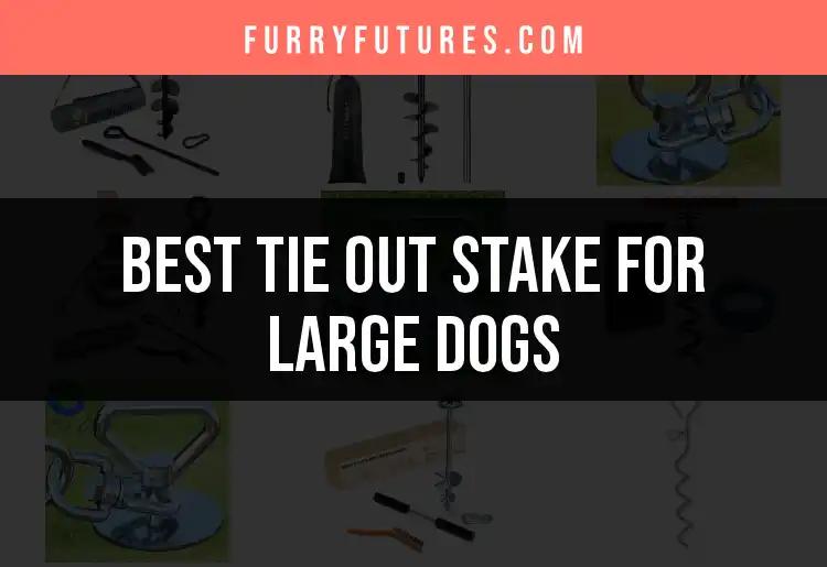 13 Best Tie Out Stakes for Large Dogs to Consider