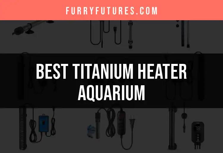 13 Top Titanium Heaters for Your Aquarium Essentials