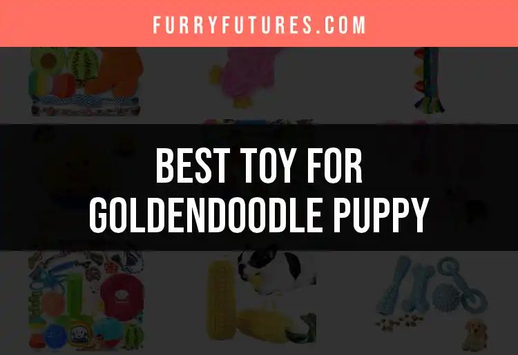 18 Best Toys For Goldendoodle Puppies To Keep Them Happy