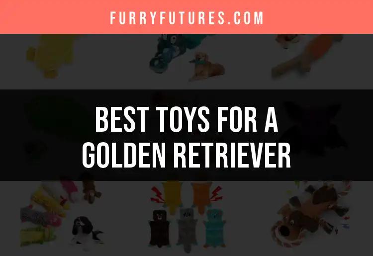 19 Best Toys for a Golden Retriever to Keep Them Happy