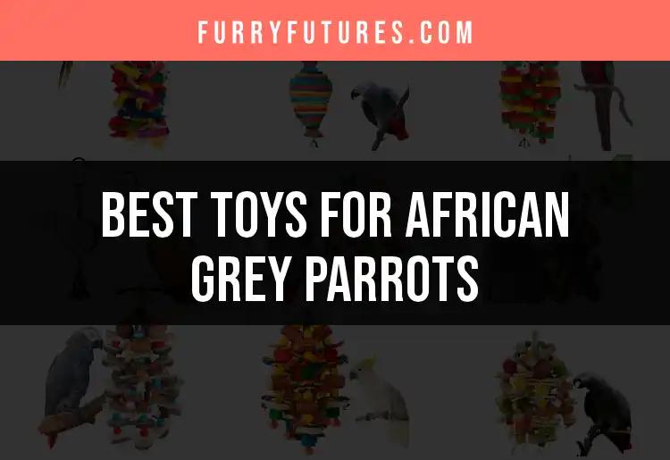 12 Top Toys for African Grey Parrots to Keep Them Happy