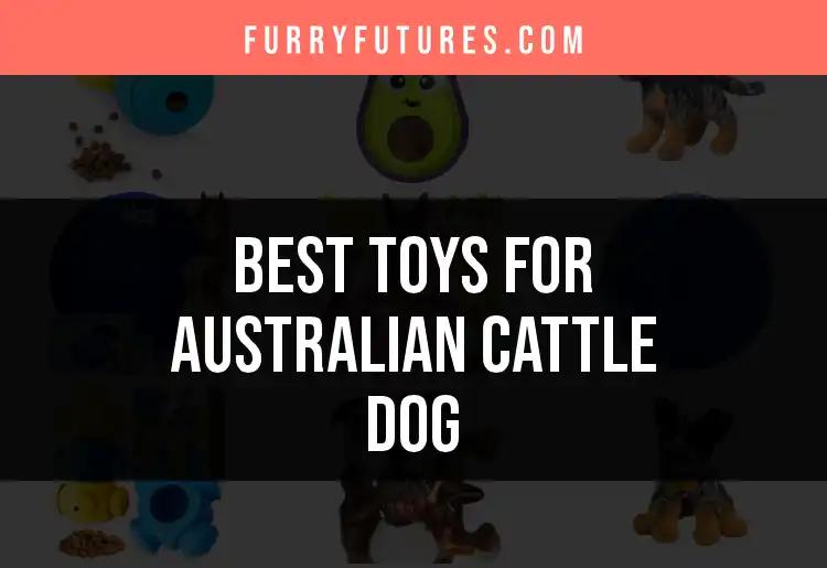 13 Essential Toys for Australian Cattle Dogs You'll Love