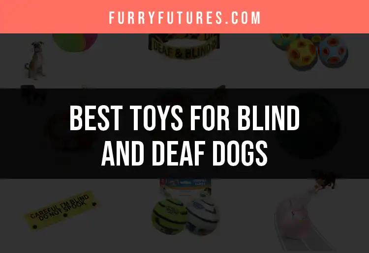 15 Top Toys for Blind and Deaf Dogs
