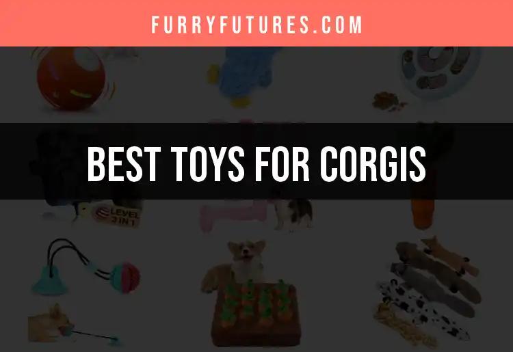 14 Must-Have Toys for Corgis That Spark Joy