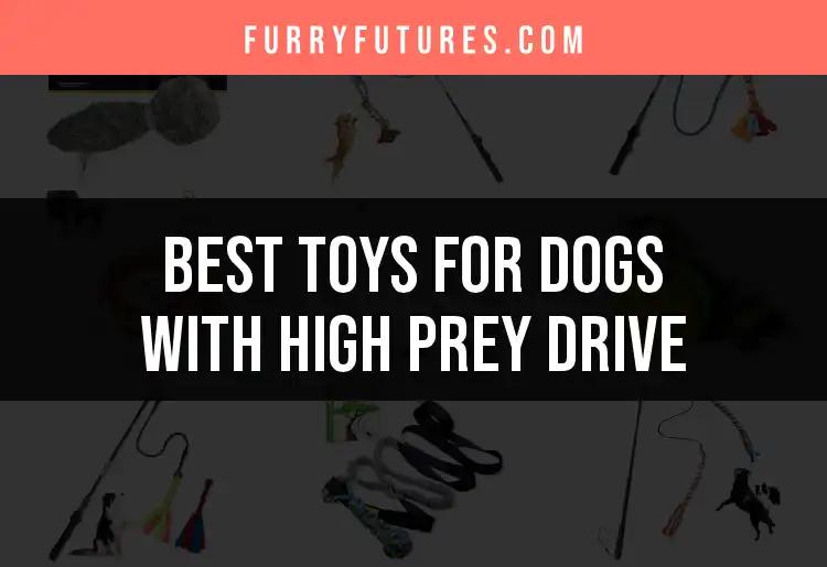 15 Best Toys for Dogs with High Prey Drive