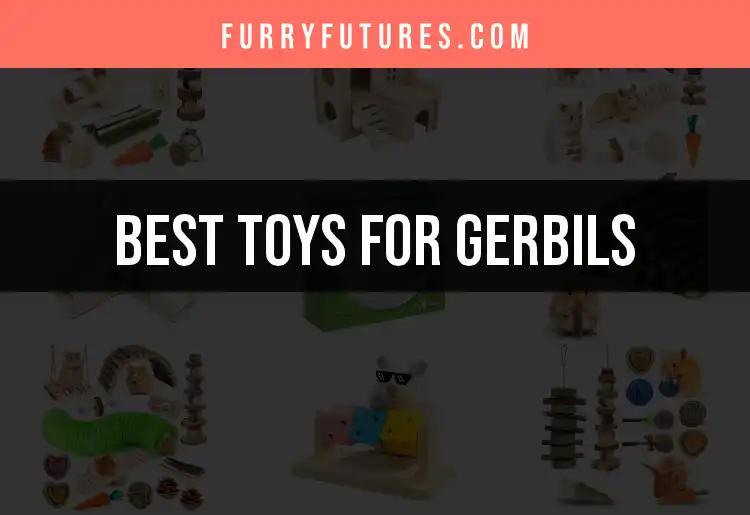 13 Must-Have Toys for Gerbils to Keep Them Happy