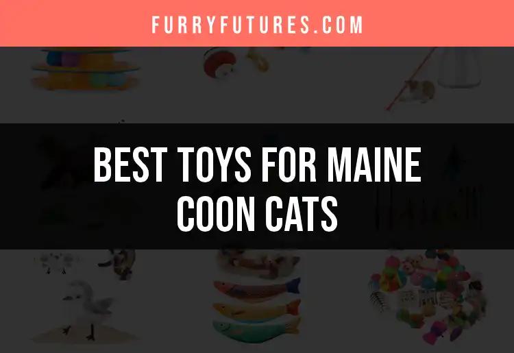 20 Irresistible Toys for Maine Coon Cats to Enjoy
