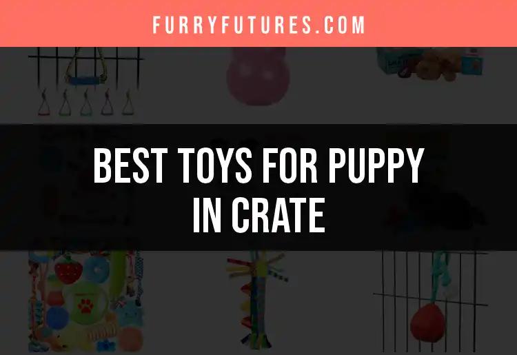 16 Must-Have Toys for Puppy in Crate Adventures