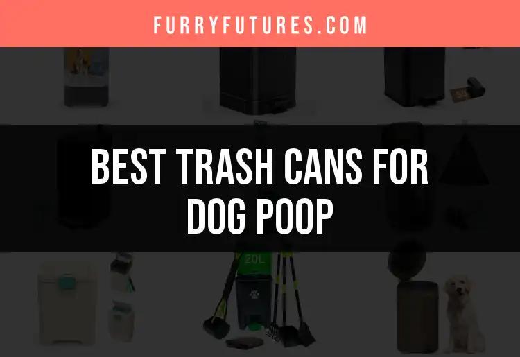 17 Best Trash Cans for Dog Poop You Can't Miss
