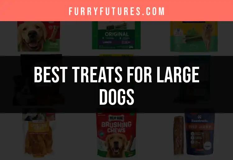 16 Irresistible Treats for Large Dogs You Should Try