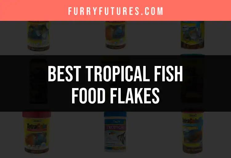 Top 10 Tropical Fish Food Flakes for Vibrant Aquariums