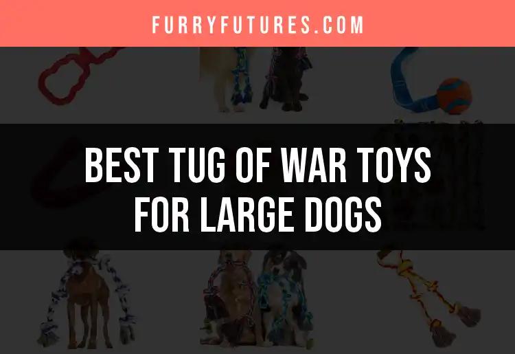 15 Best Tug of War Toys for Large Dogs to Try Today
