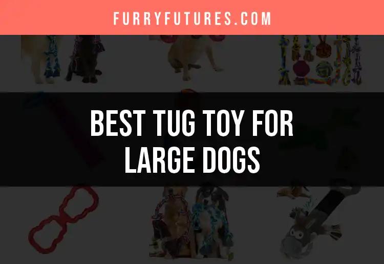 16 Best Tug Toys for Large Dogs: Playtime Elevated