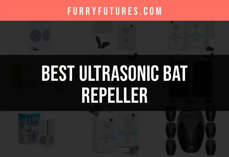 15 Best Ultrasonic Bat Repellers for Your Peaceful Space