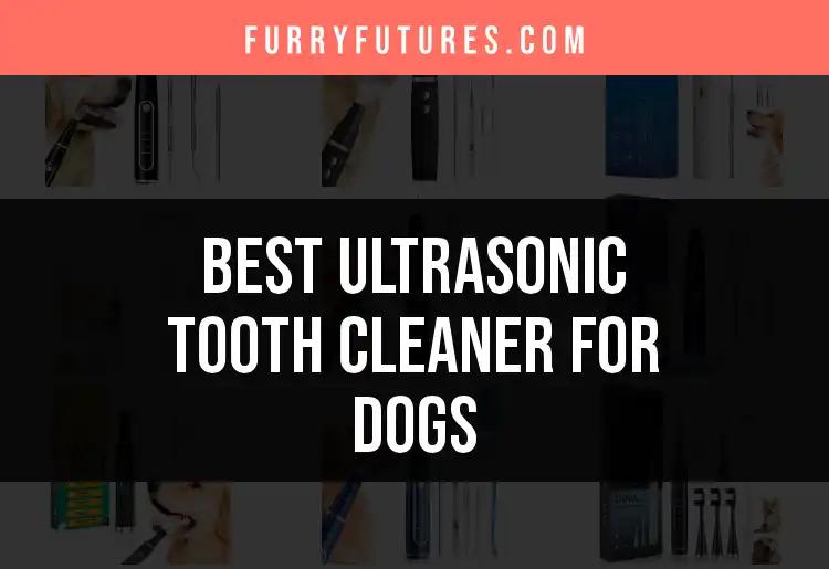17 Best Ultrasonic Tooth Cleaners for Dogs Reviewed
