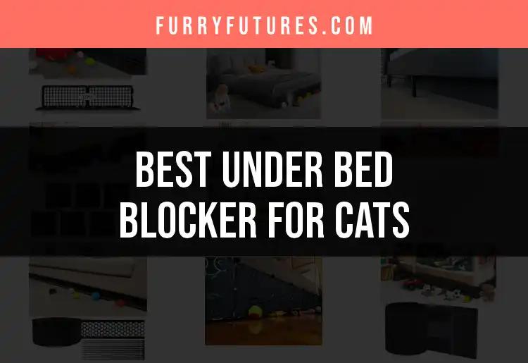11 Best Under Bed Blockers for Cats to Keep Tails Happy