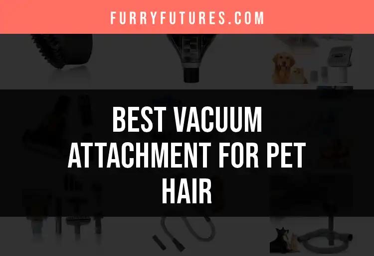 Top 10 Vacuum Attachments for Pet Hair You Should Try
