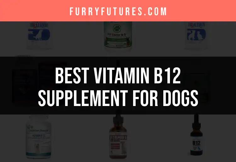 16 Best Vitamin B12 Supplements for Dogs to Boost Health