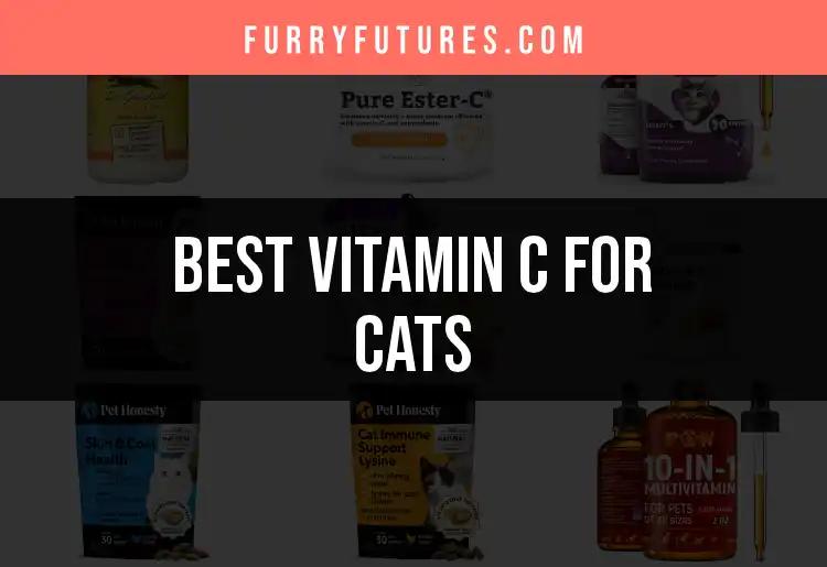 18 Best Vitamin C for Cats: Boost Their Vitality Today