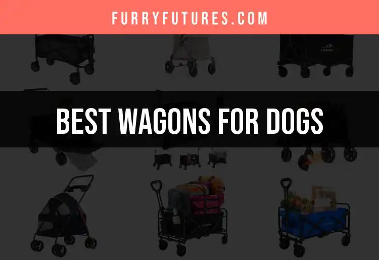 15 Best Wagons for Dogs: Your Ultimate Guide