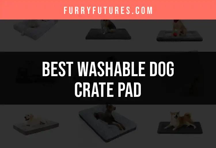 16 Best Washable Dog Crate Pads for Cozy Comfort