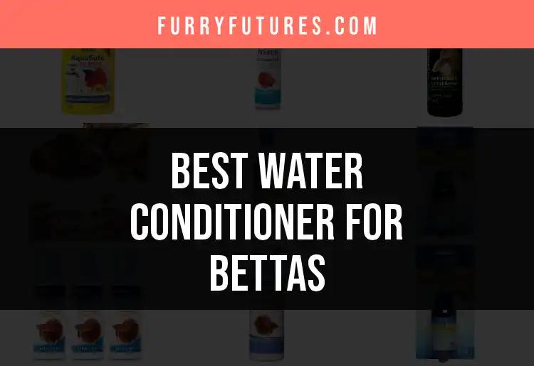 13 Top Water Conditioners for Bettas You Need to Try