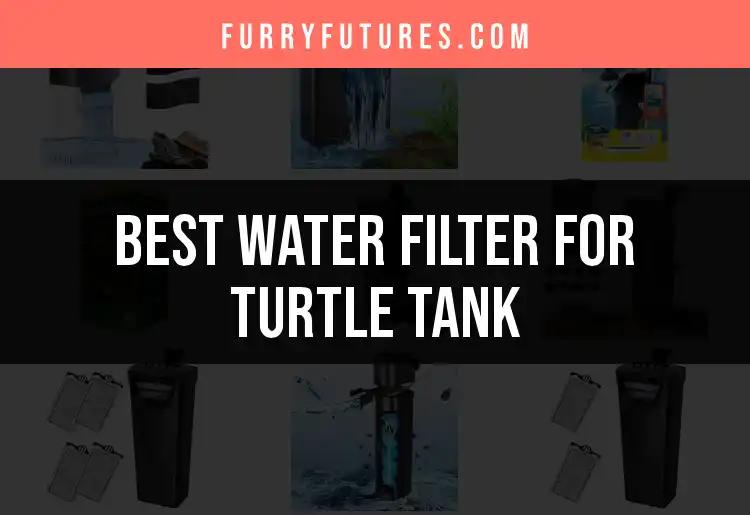 13 Best Water Filters for Turtle Tanks You Can Trust