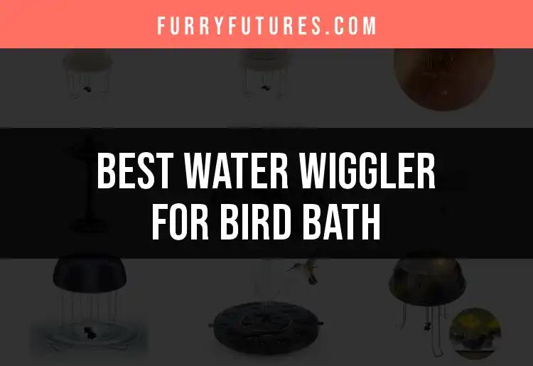 12 Best Water Wigglers for Your Bird Bath