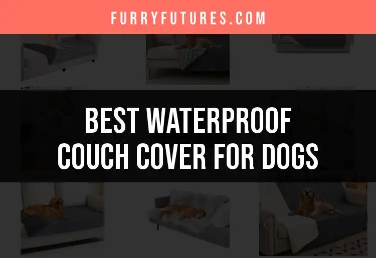 17 Best Waterproof Couch Covers for Dogs to Protect Your Home