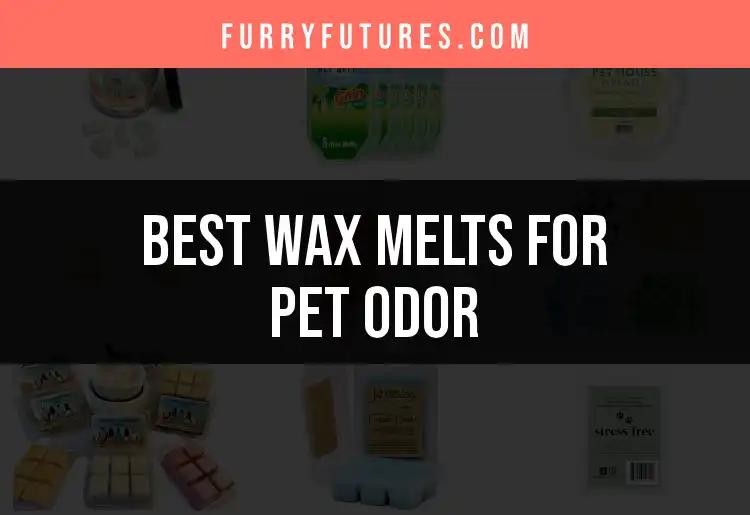 11 Best Wax Melts for Pet Odor Elimination