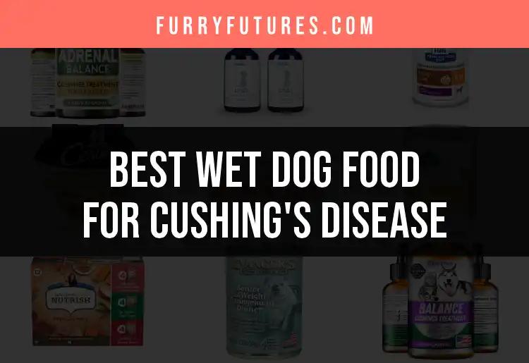 14 Best Wet Dog Foods for Cushing's Disease