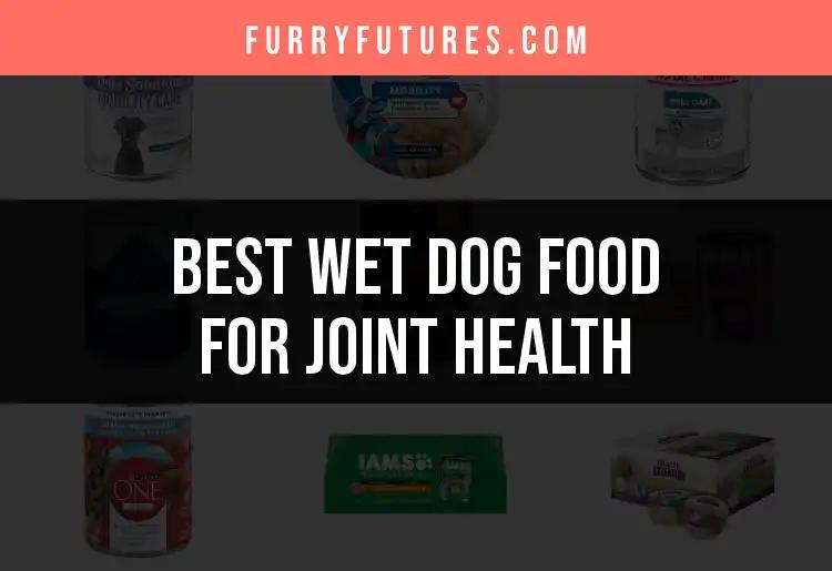 16 Best Wet Dog Foods for Joint Health and Mobility